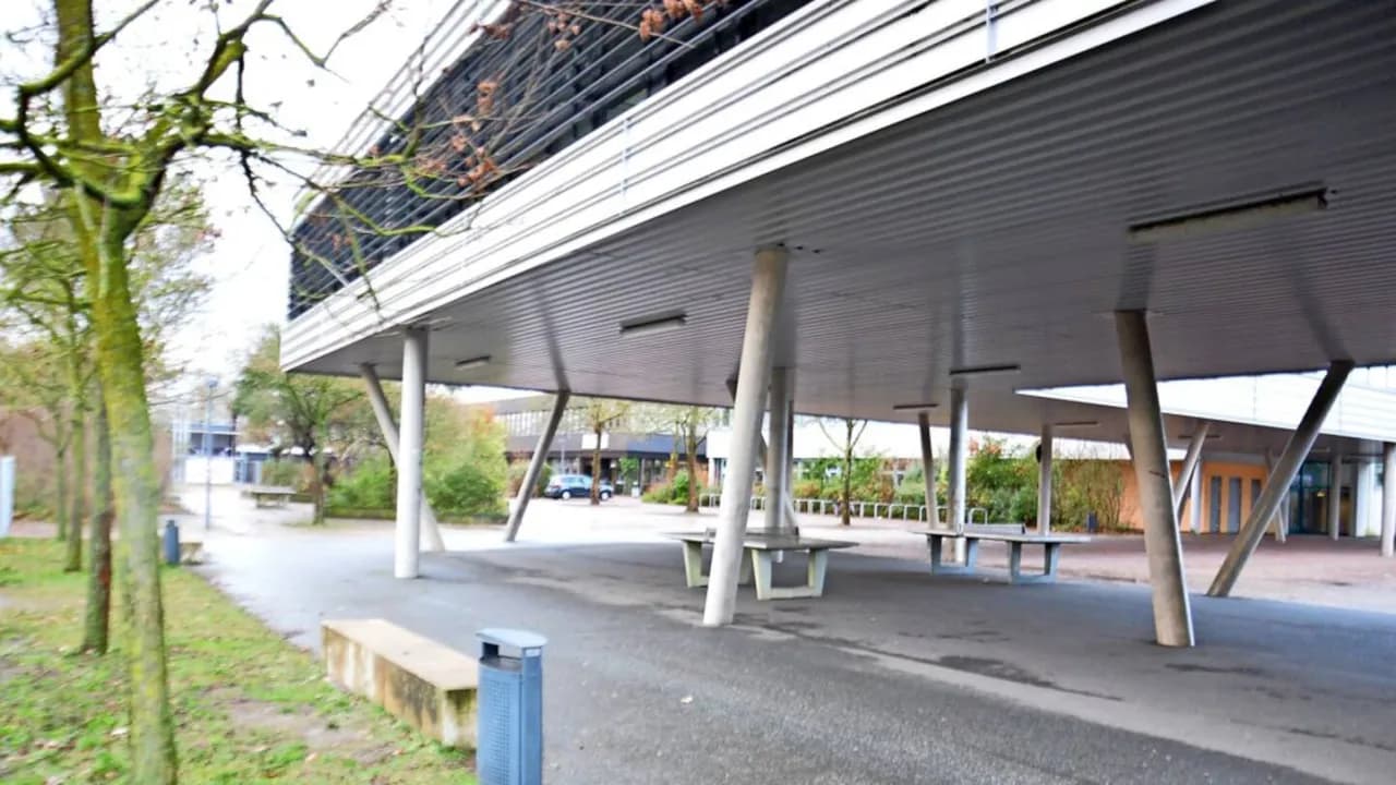 Leine-Schule in Neustadt: Angebote, Bewertungen und wichtige Infos